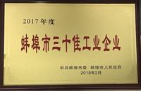 蚌埠市三十佳工业企业